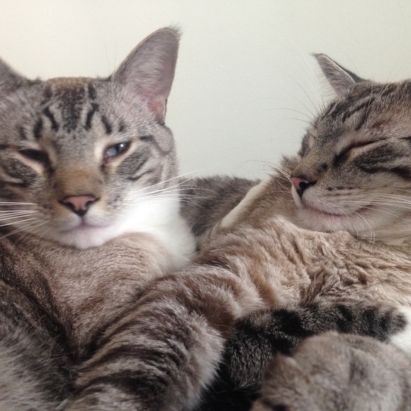 Meet your Posher, Emily - Picture 2 of 3